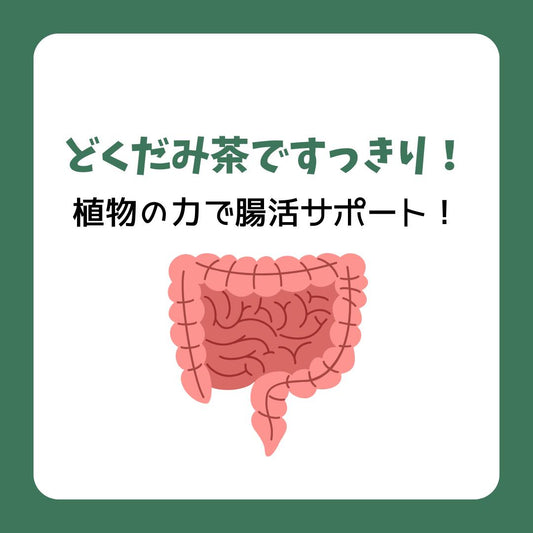 すっきり週間にどくだみ茶!植物のチカラで手軽に腸活サポート
