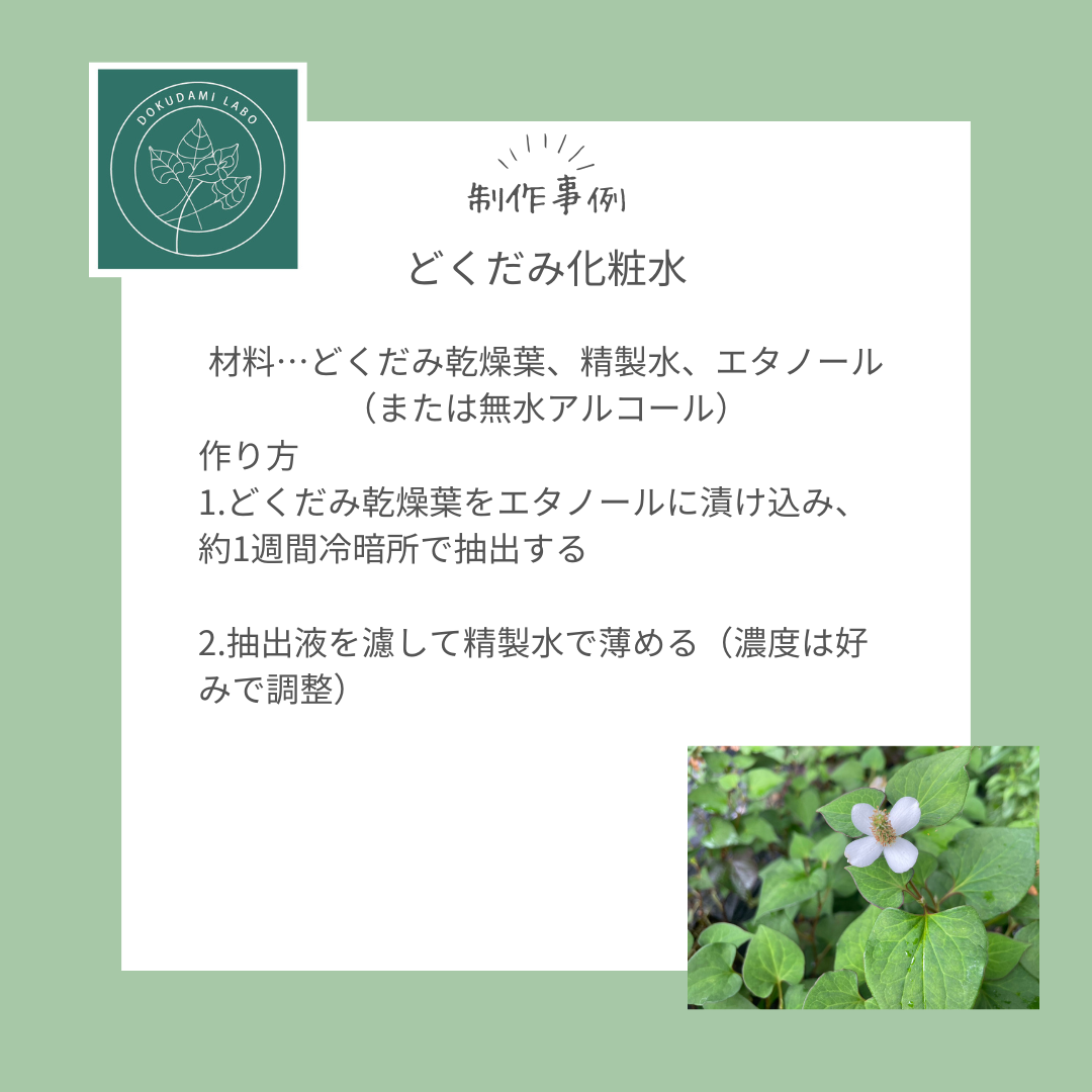 どくだみ乾燥葉